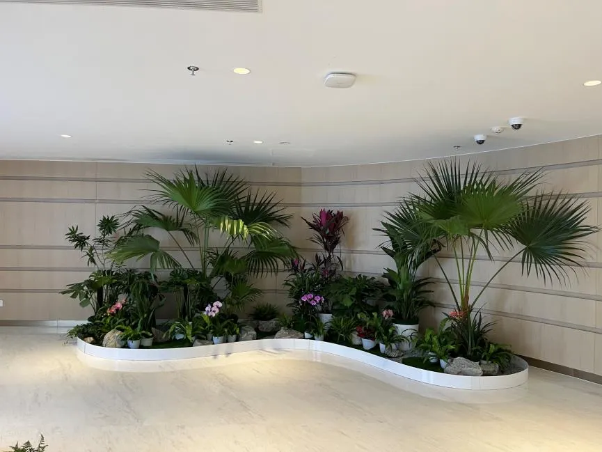 宁波余姚绿化修剪秘籍，打造城市清新风景线